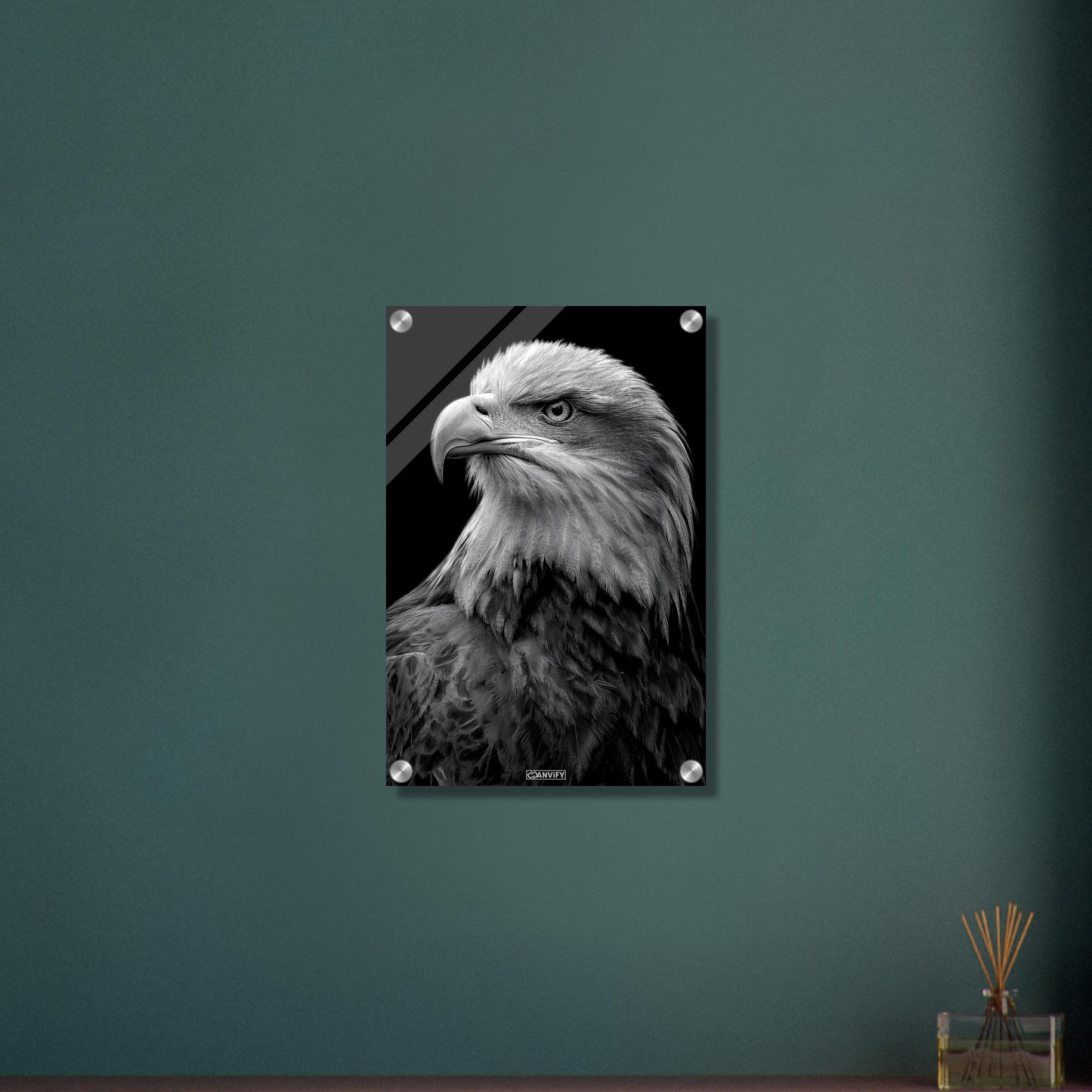 Weißkopfadler Portrait in Schwarz und Weiß auf einem Acrylbild