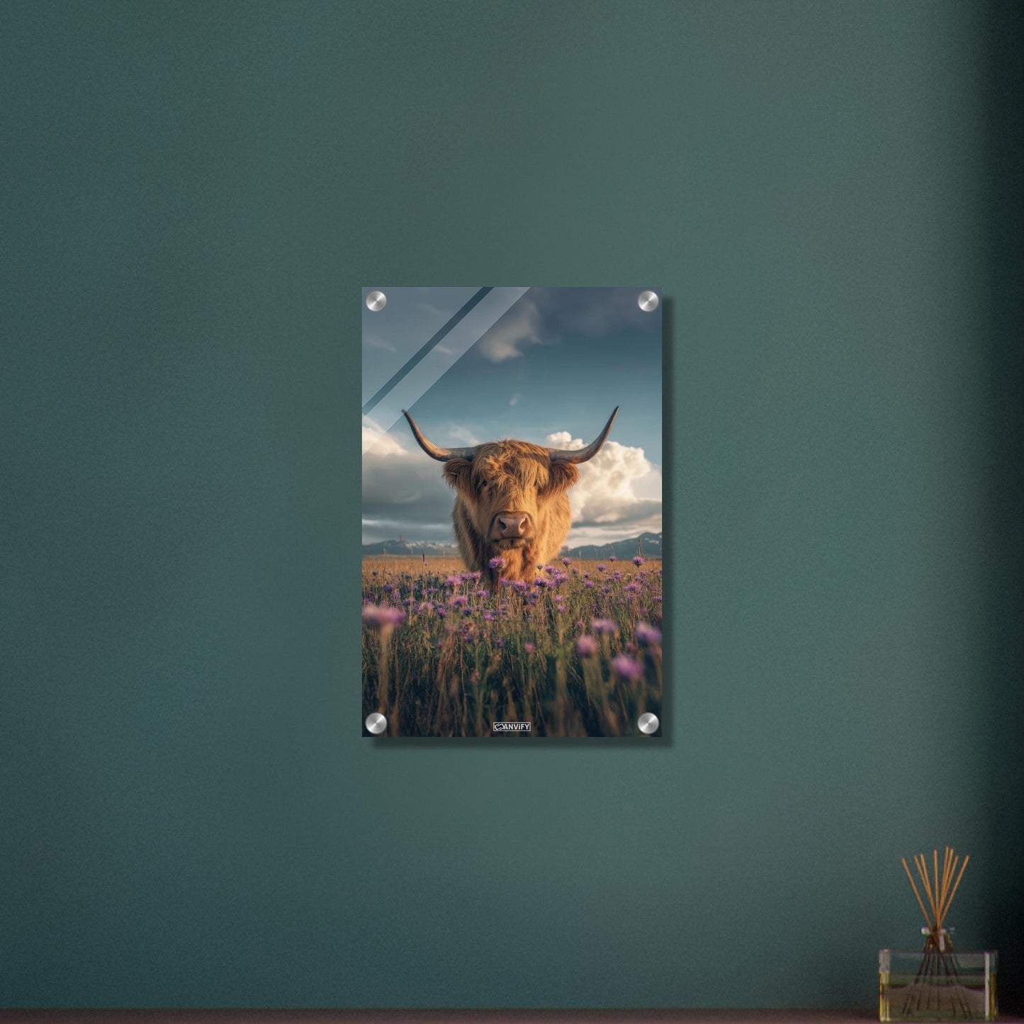 Schottisches Hochlandrind auf einer Blumenwiese auf einem Acrylbild
