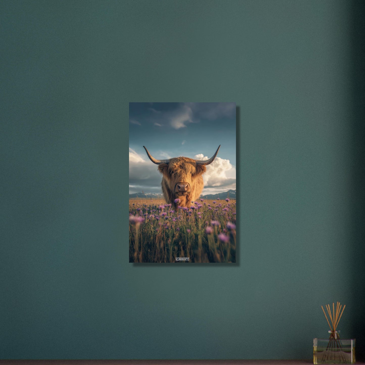 Schottisches Hochlandrind auf einer Blumenwiese auf Aluminium
