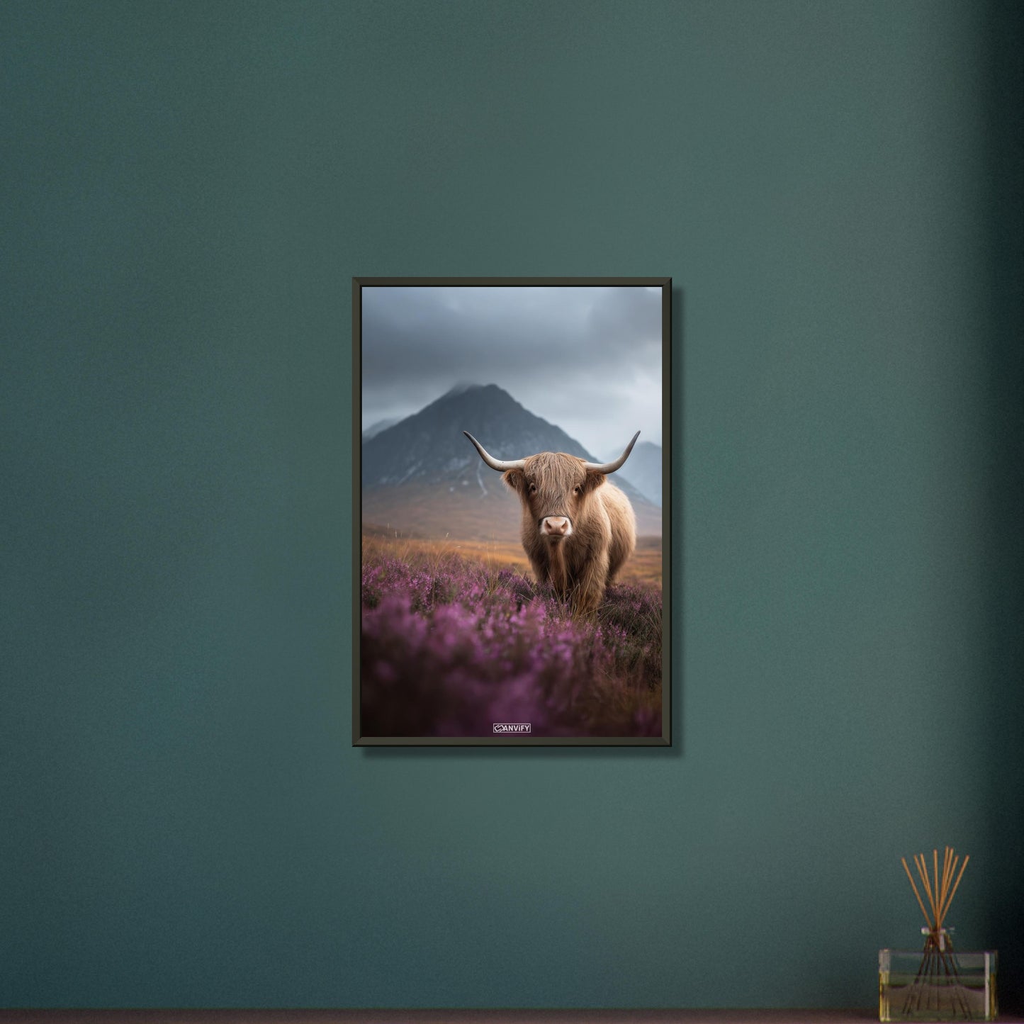 Schottisches Hochlandrind in den Bergen auf einem Poster im Metallrahmen