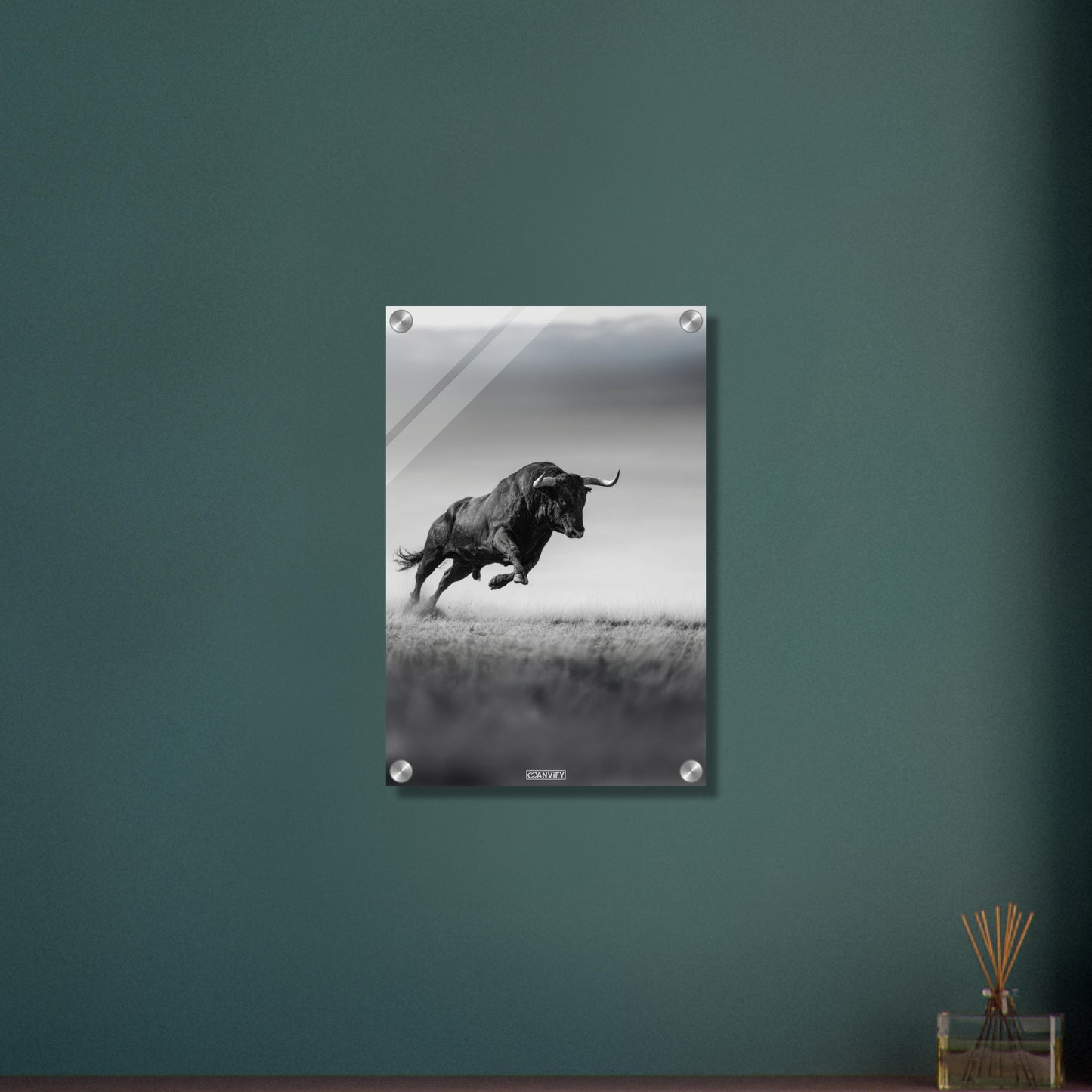 Spanischer Bulle in Schwarz und Weiß auf einem Acrylbild