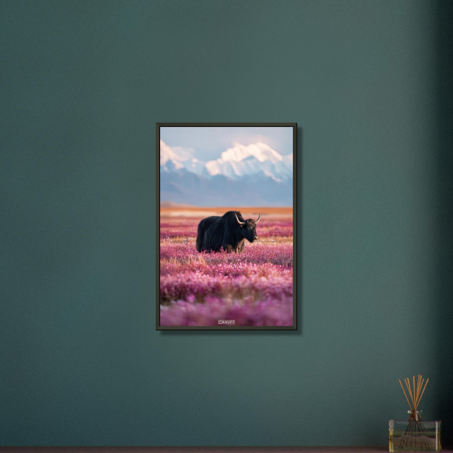 Schwarzer tibetanischer Yak auf einer Blumenwiese mit schneebedeckten Bergen im Hintergrund auf einem Poster im Metallrahmen