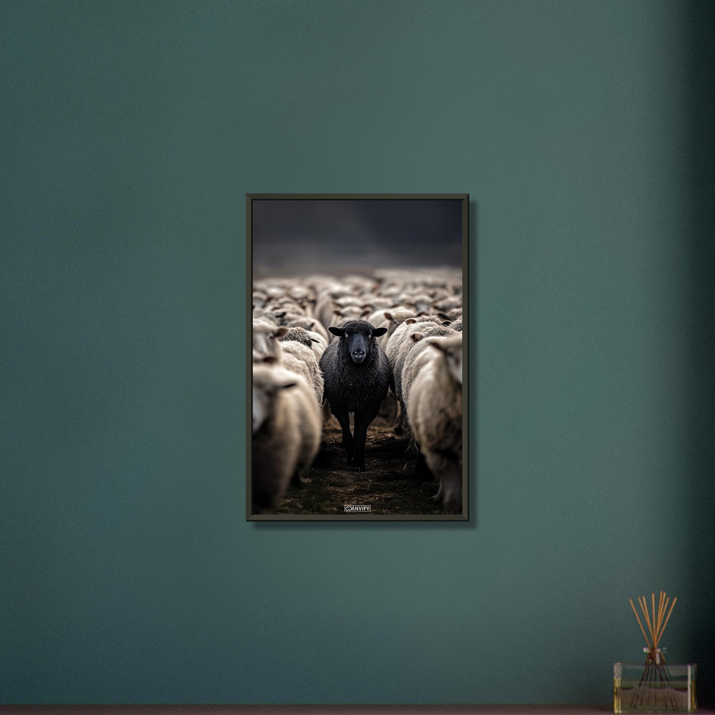 Schwarzes Schaf unter den weißen Schafen auf einem Poster im Metallrahmen
