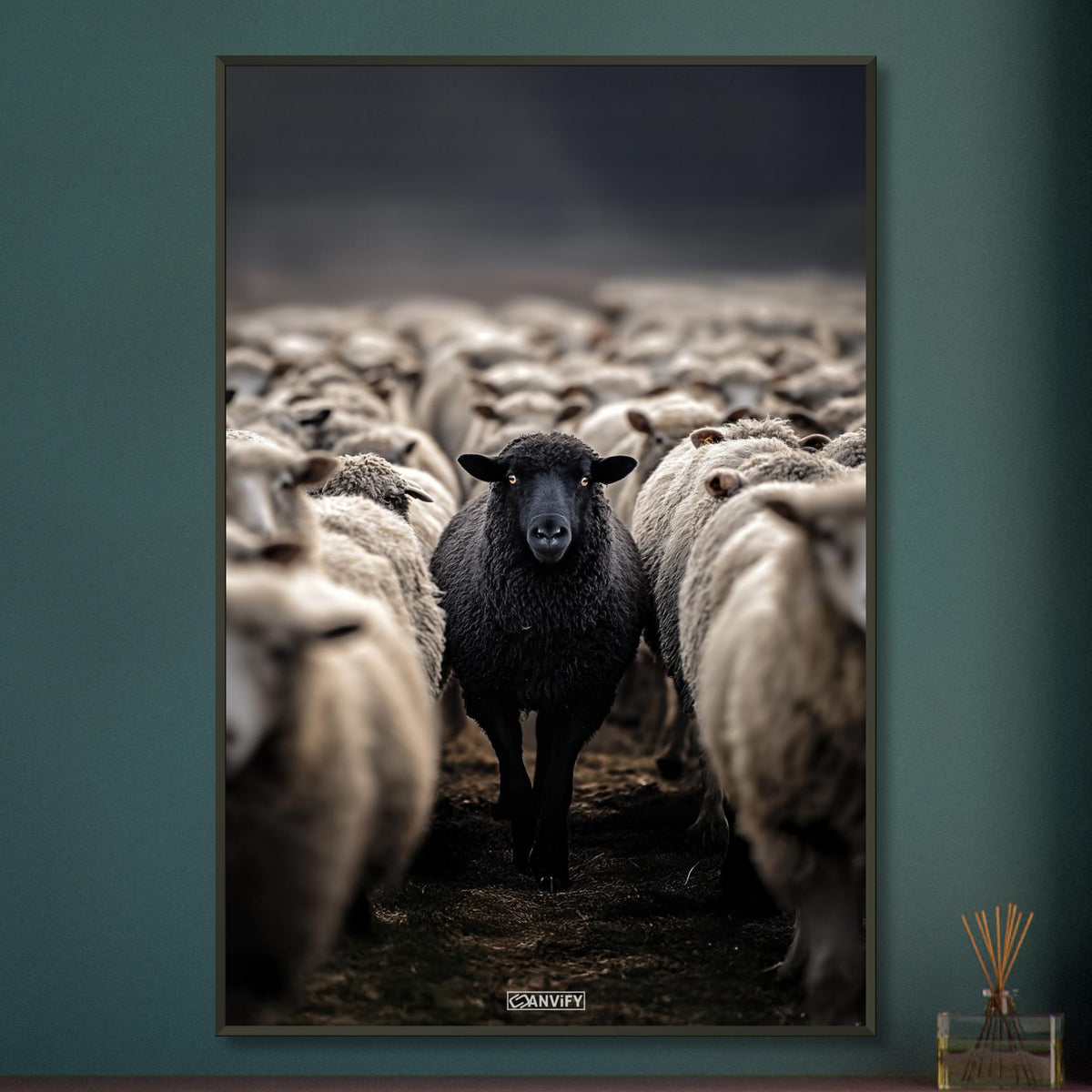 Schwarzes Schaf unter den weißen Schafen auf einem Poster im Metallrahmen