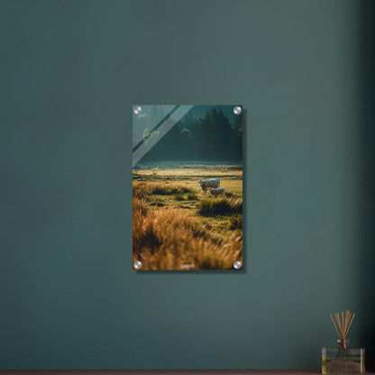 Kühe auf der Wiese auf einem Acrylbild