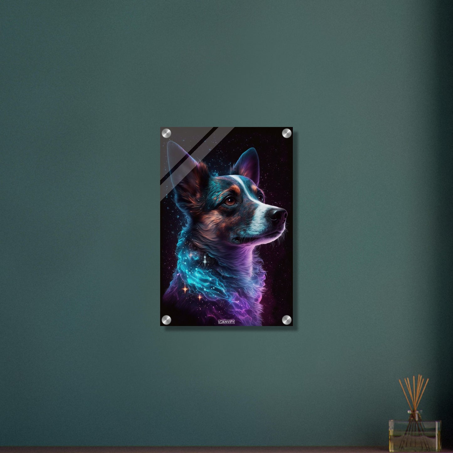 Nebula Border Collie Portrait