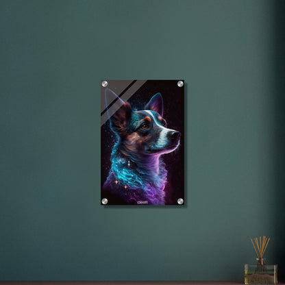 Nebula Border Collie Portrait