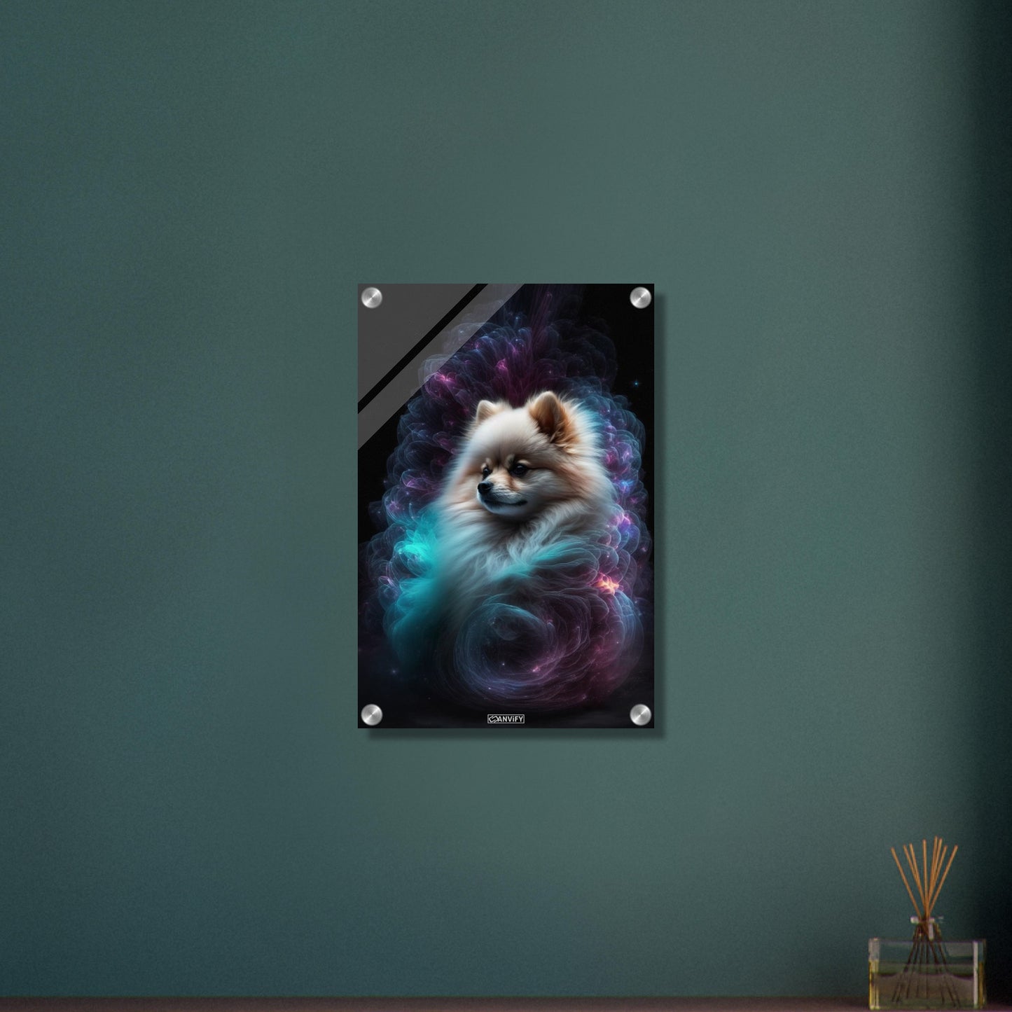 Nebula Pomeranian Portrait