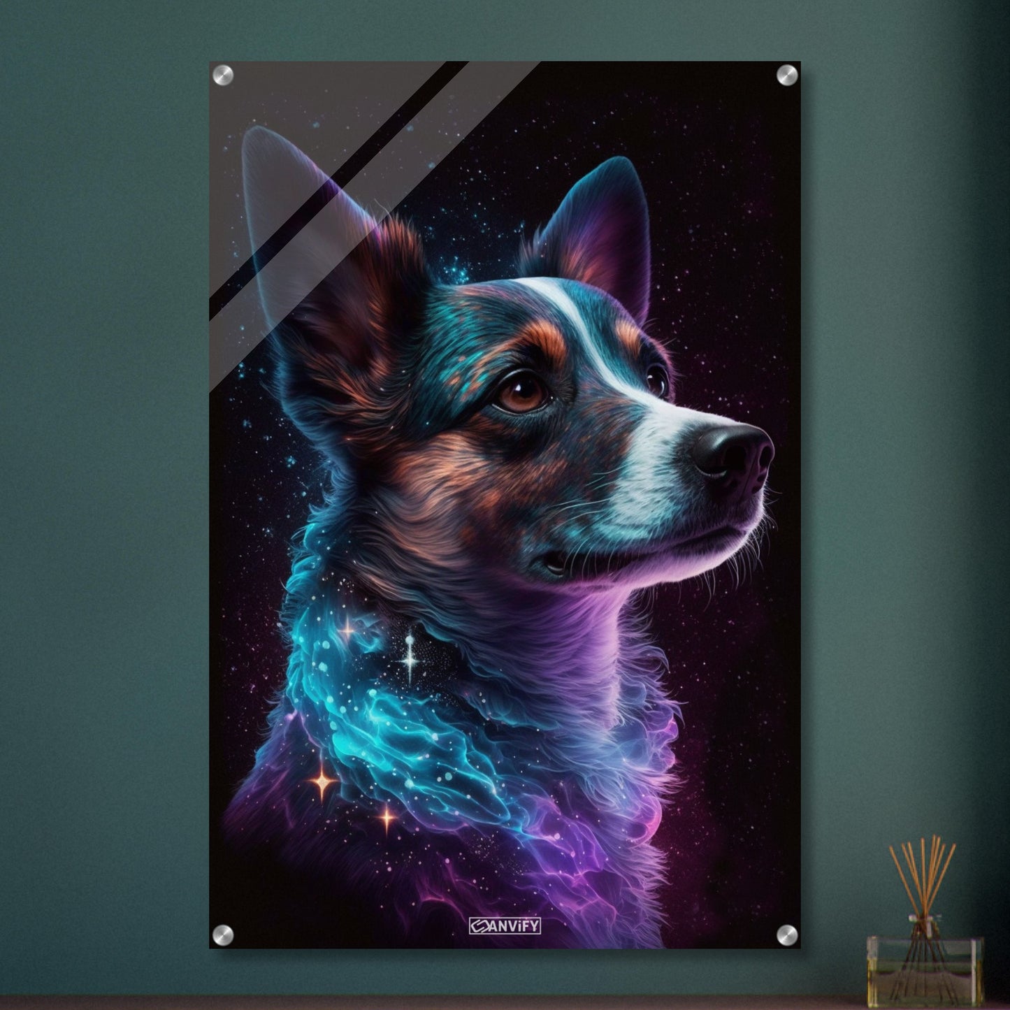 Nebula Border Collie Portrait