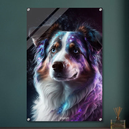 Nebula Australian Shepherd Portrait