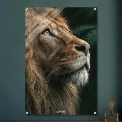 Eyes of the King
