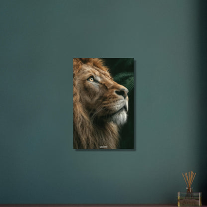Eyes of the King