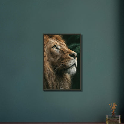 Eyes of the King