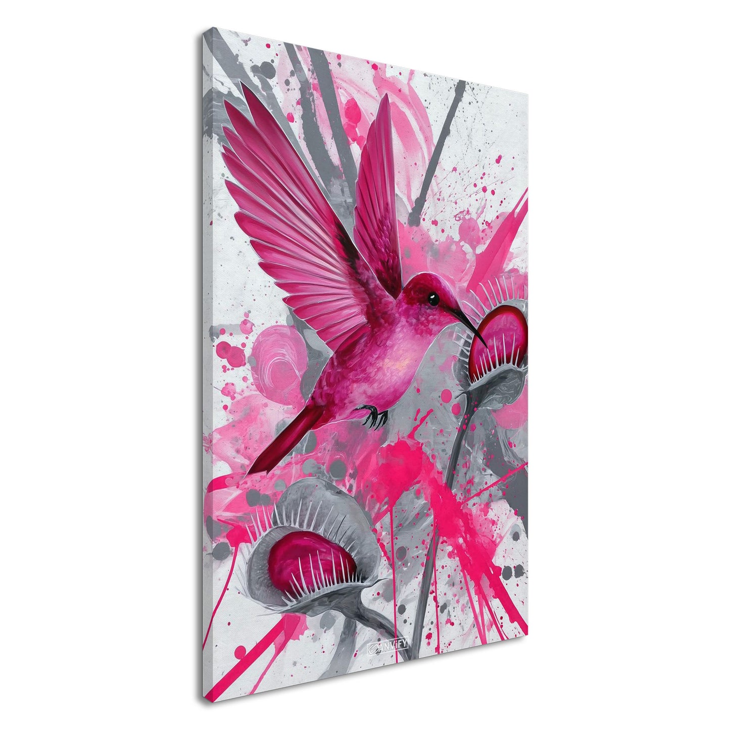 Pinker Kolibri über Karnivoren auf einer Leinwand