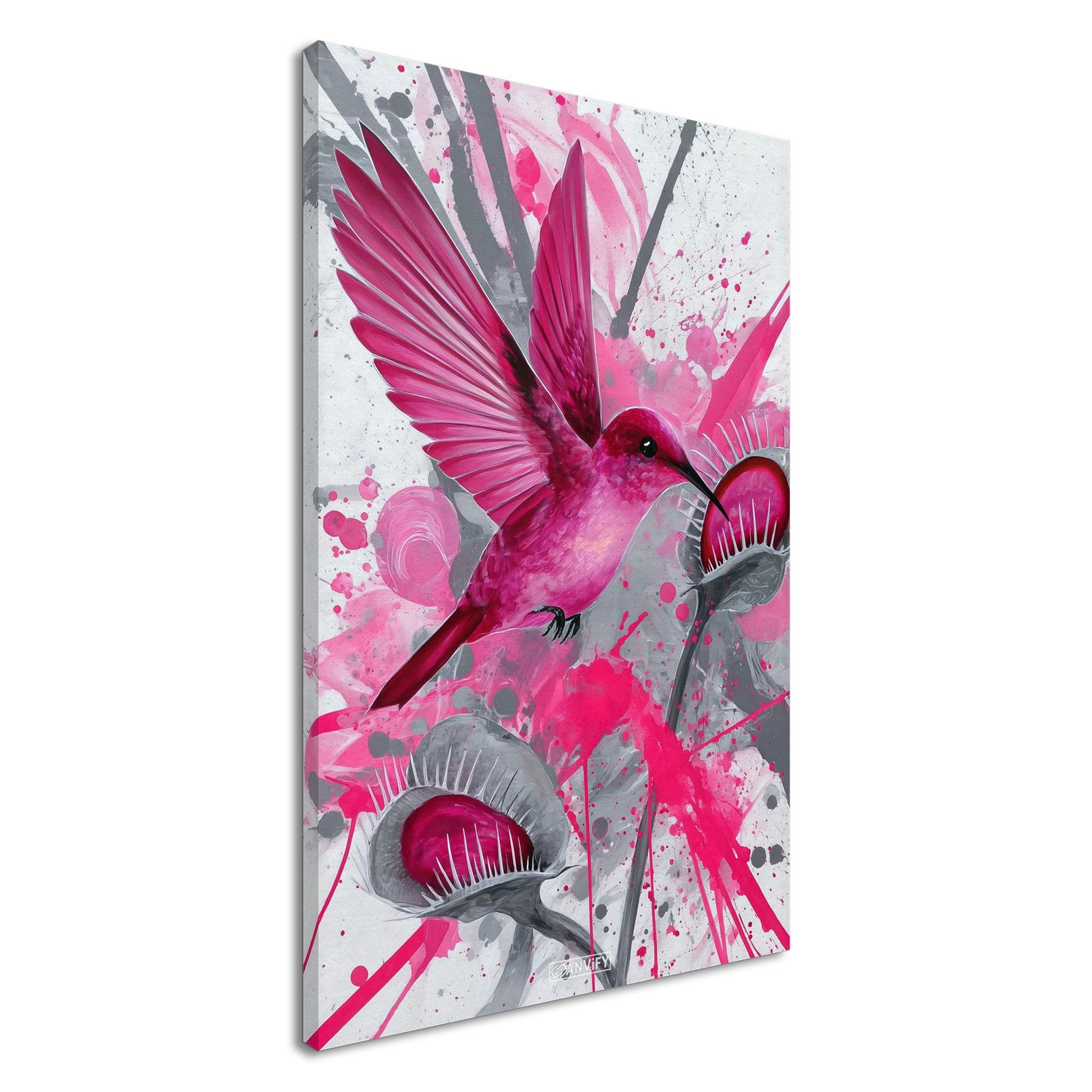 Pinker Kolibri über Karnivoren auf einer Leinwand