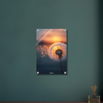 Pusteblume bei goldenem Sonnenuntergang auf einem Acrylbild