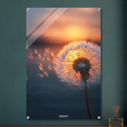 Pusteblume bei goldenem Sonnenuntergang auf einem Acrylbild