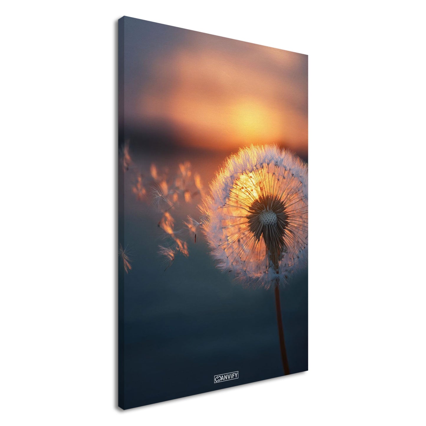 Pusteblume bei goldenem Sonnenuntergang auf einer Leinwand