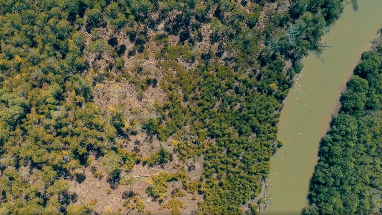 Video laden: 