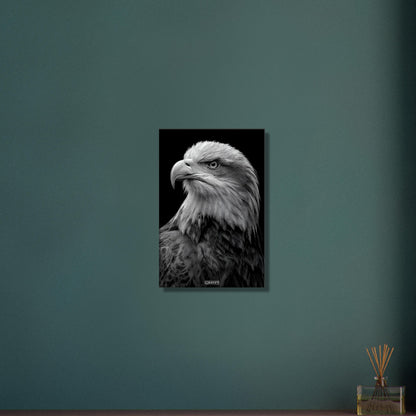 Weißkopfadler Portrait in Schwarz und Weiß auf einer Leinwand