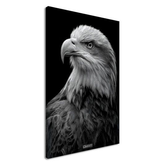 Weißkopfadler Portrait in Schwarz und Weiß auf einer Leinwand
