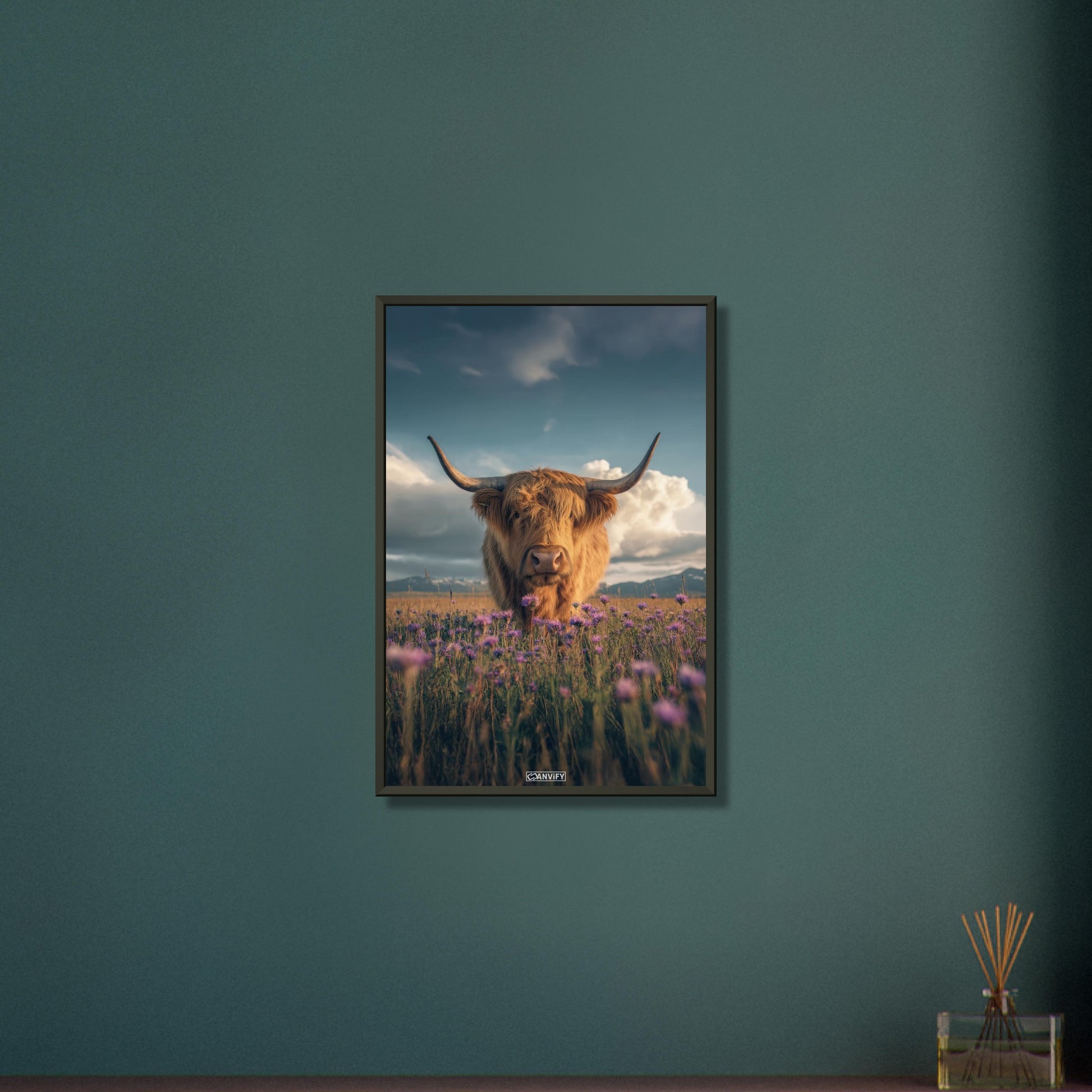 Schottisches Hochlandrind auf einer Blumenwiese auf einem Poster im Metallrahmen