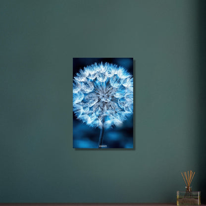 Eisblaue Pusteblume in Nahaufnahme auf Aluminium