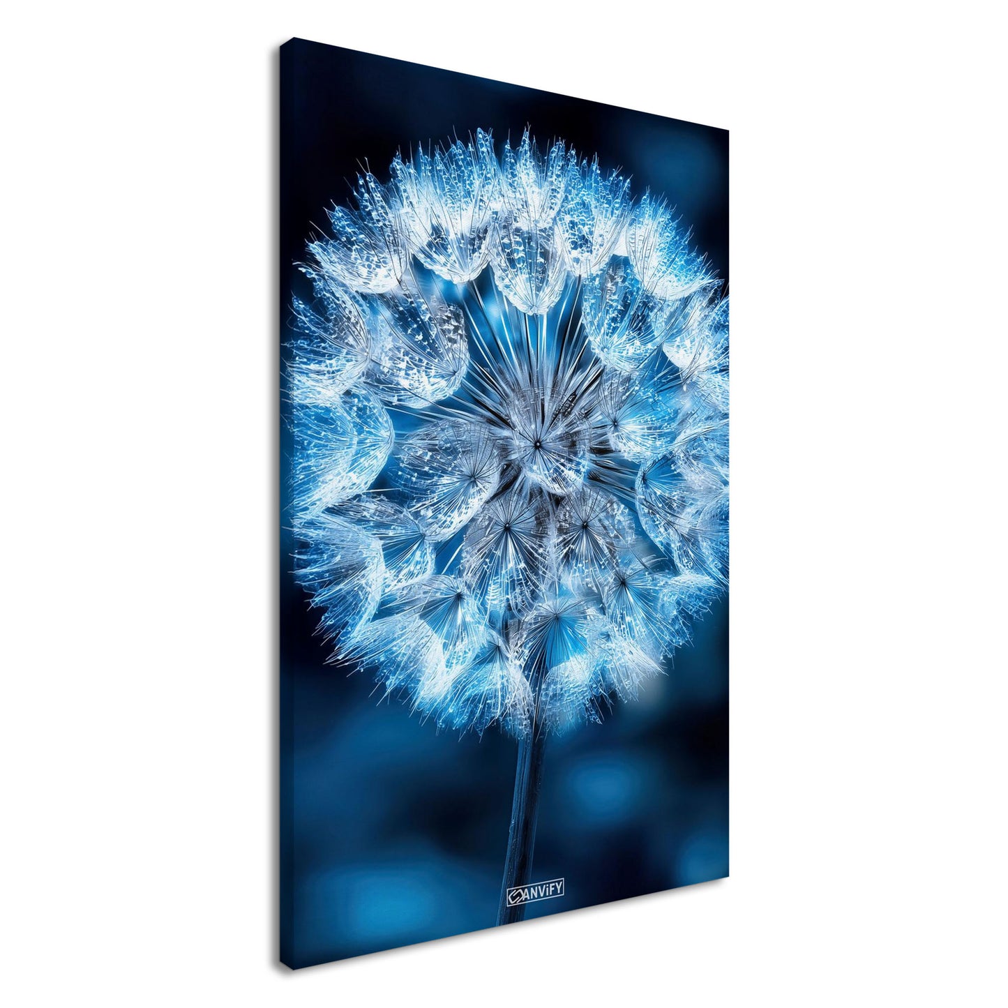 Eisblaue Pusteblume in Nahaufnahme auf einer Leinwand