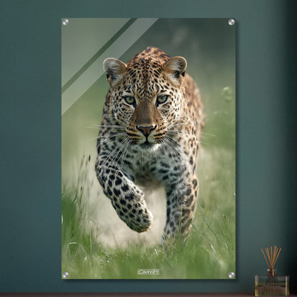 Nahaufnahme eines laufenden Leopard in der Natur auf einem Acrylbild