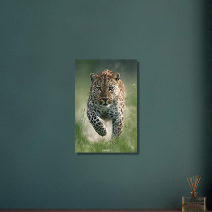 Nahaufnahme eines laufenden Leopard in der Natur auf Aluminium