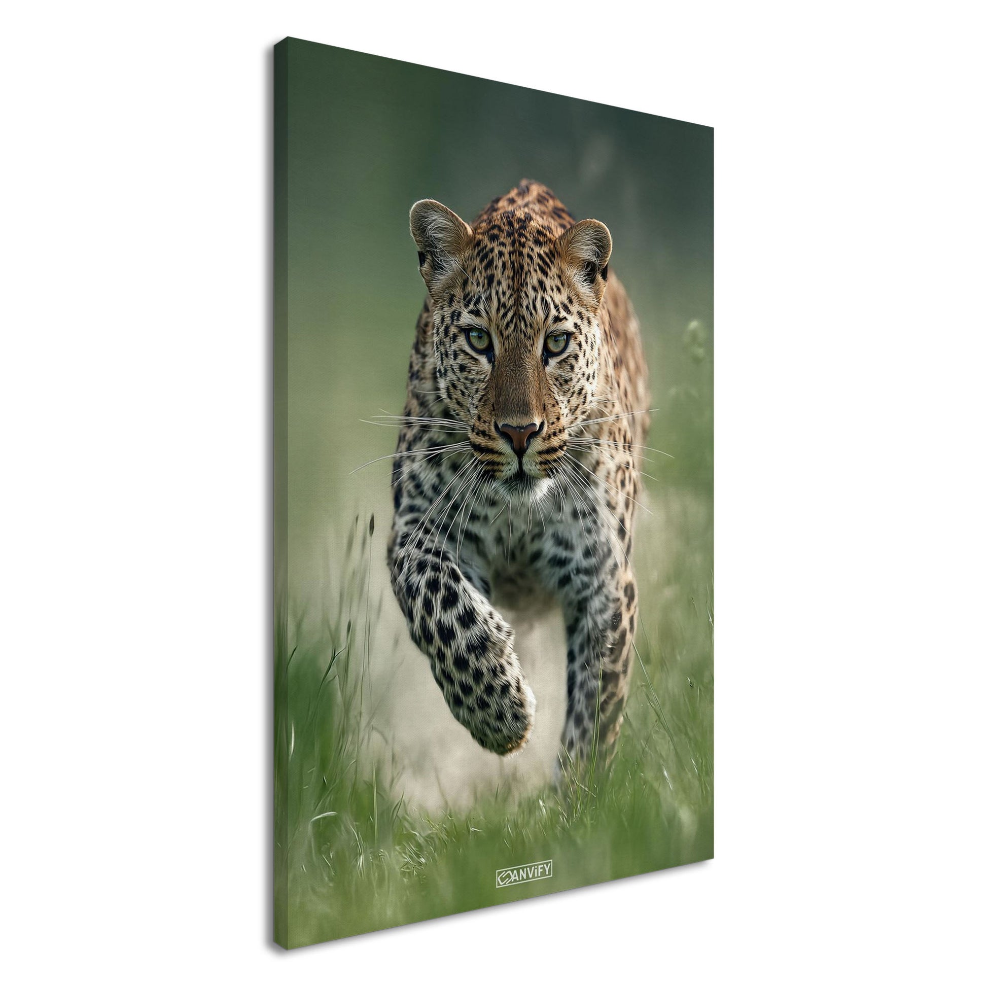 Nahaufnahme eines laufenden Leopard in der Natur auf einer Leinwand
