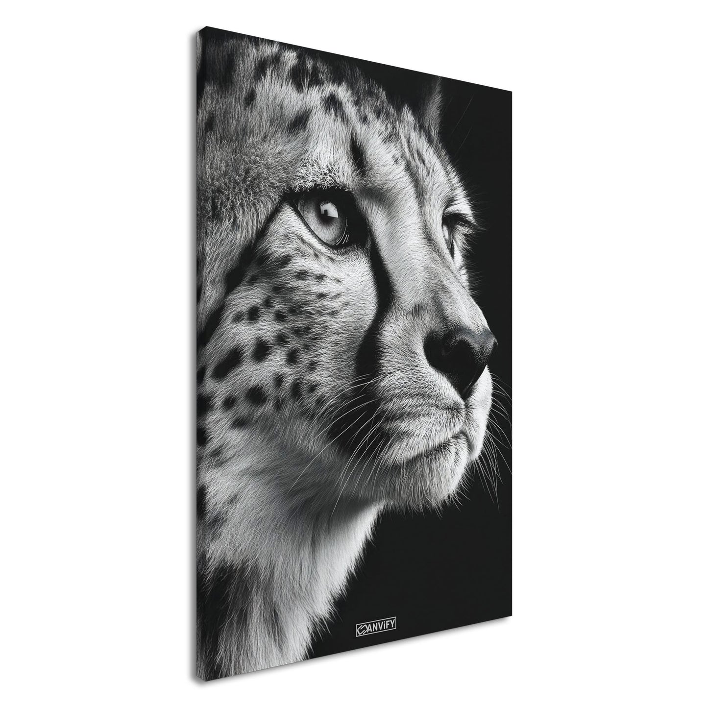 Gepard Portrait in Schwarz und Weiß auf einer Leinwand
