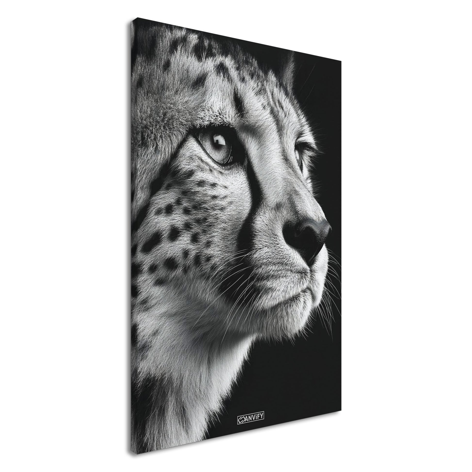 Gepard Portrait in Schwarz und Weiß auf einer Leinwand