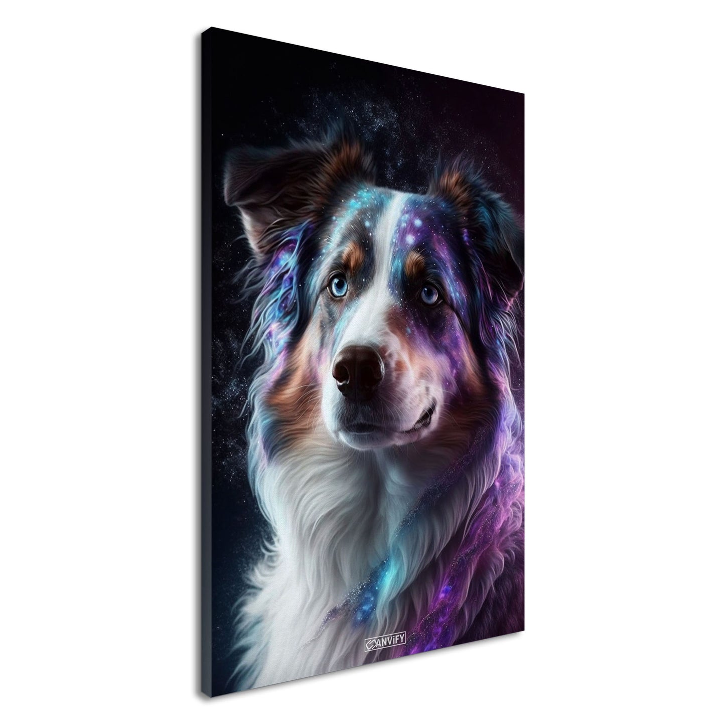 Nebula Australian Shepherd Portrait