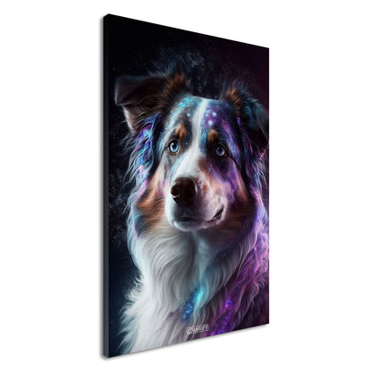 Nebula Australian Shepherd Portrait