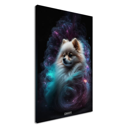 Nebula Pomeranian Portrait
