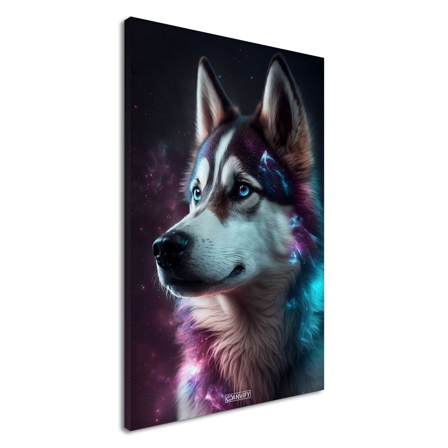 Nebula Siberian Husky Portrait