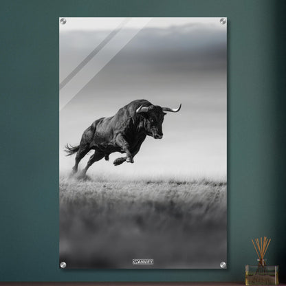 Spanischer Bulle in Schwarz und Weiß auf einem Acrylbild