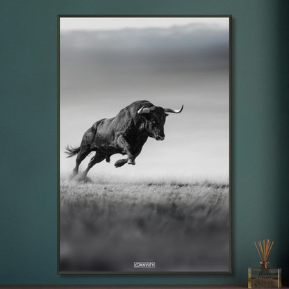 Spanischer Bulle in Schwarz und Weiß auf einem Poster im Metallrahmen