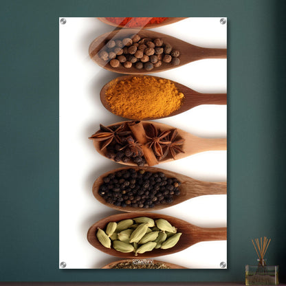 Harissa, Curry, Pfeffer, Kreuzkümmel, Vanille, Kardamomkapseln und Koriander im Holzlöffel auf einem Acrylbild