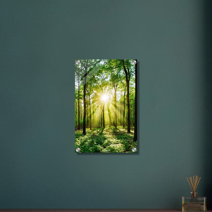 Sonnenstrahlen brechen durch grünes Blätterdach in dichtem Wald auf einem Acrylbild