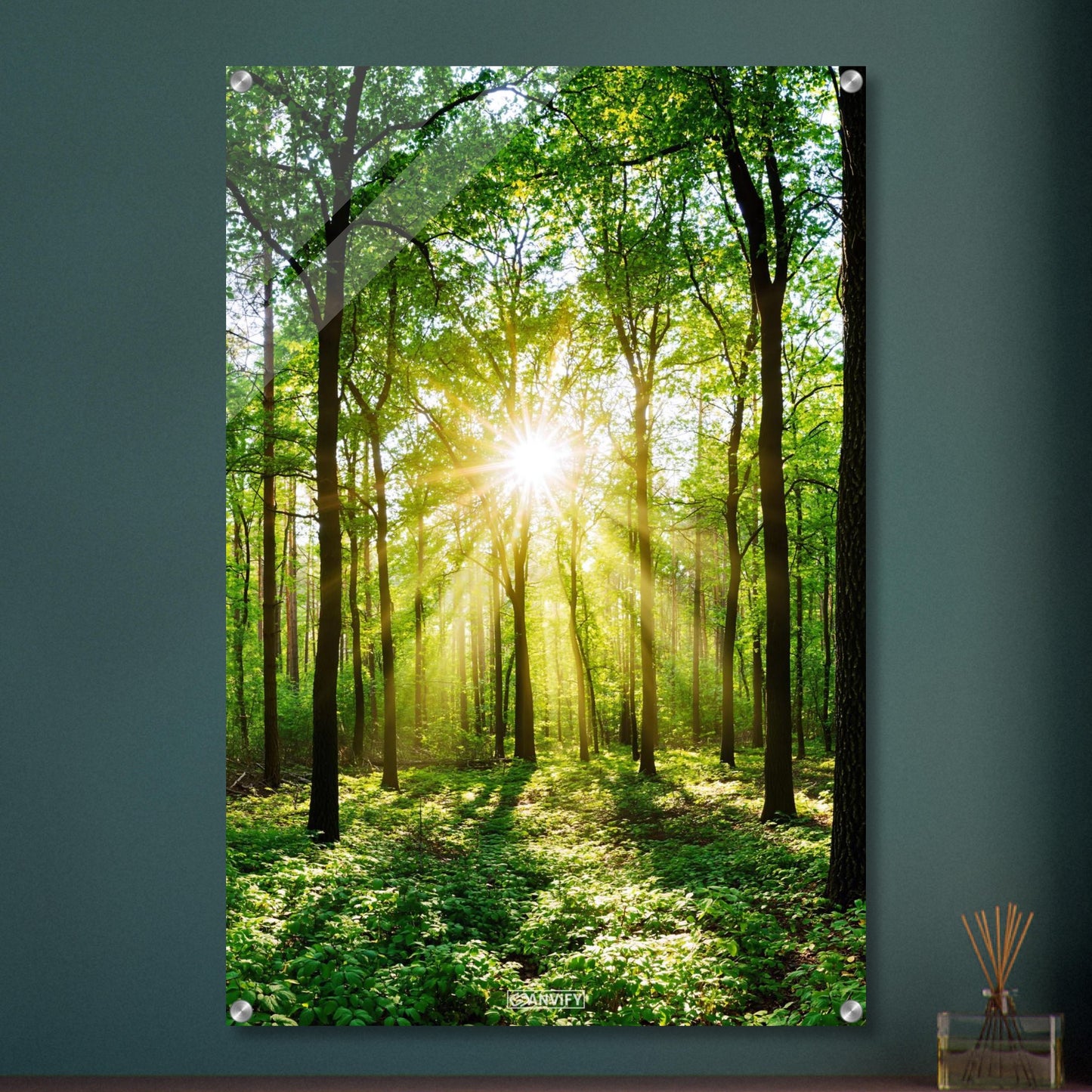 Sonnenstrahlen brechen durch grünes Blätterdach in dichtem Wald auf einem Acrylbild