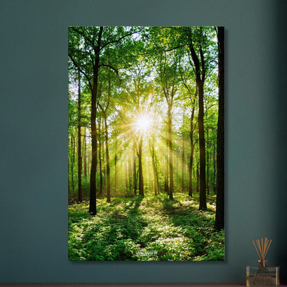 Sonnenstrahlen brechen durch grünes Blätterdach in dichtem Wald auf einer Leinwand