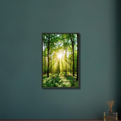 Sonnenstrahlen brechen durch grünes Blätterdach in dichtem Wald auf einem Poster im Metallrahmen