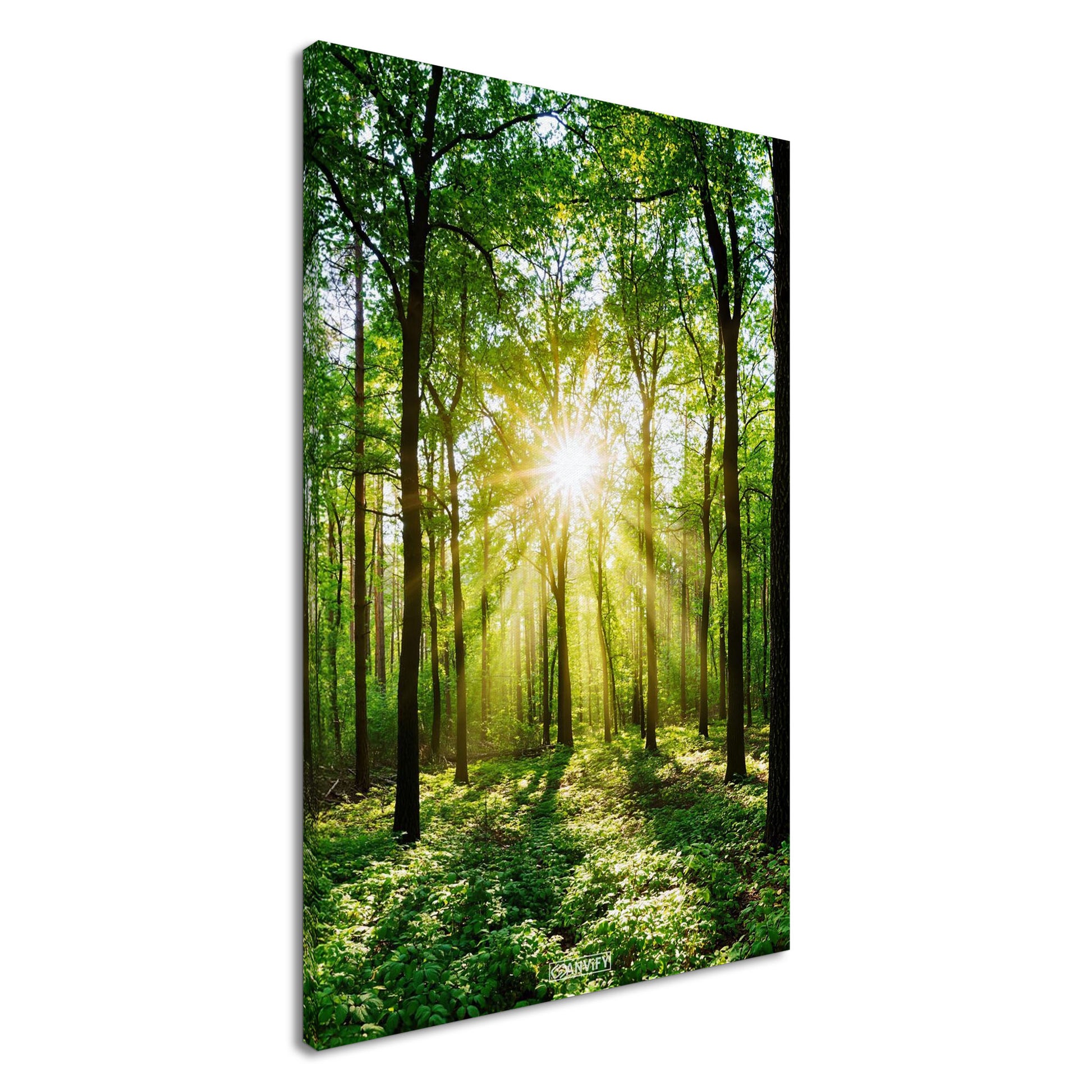 Sonnenstrahlen brechen durch grünes Blätterdach in dichtem Wald auf einer Leinwand