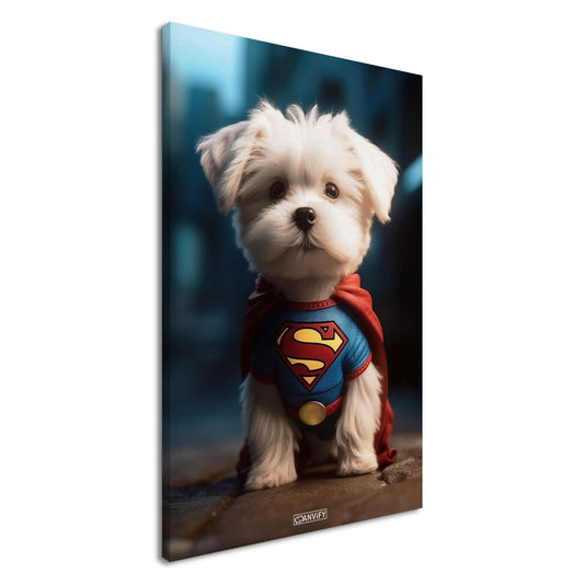 Malteser in einem Superhelden Kostüm von Superman auf einer Leinwand