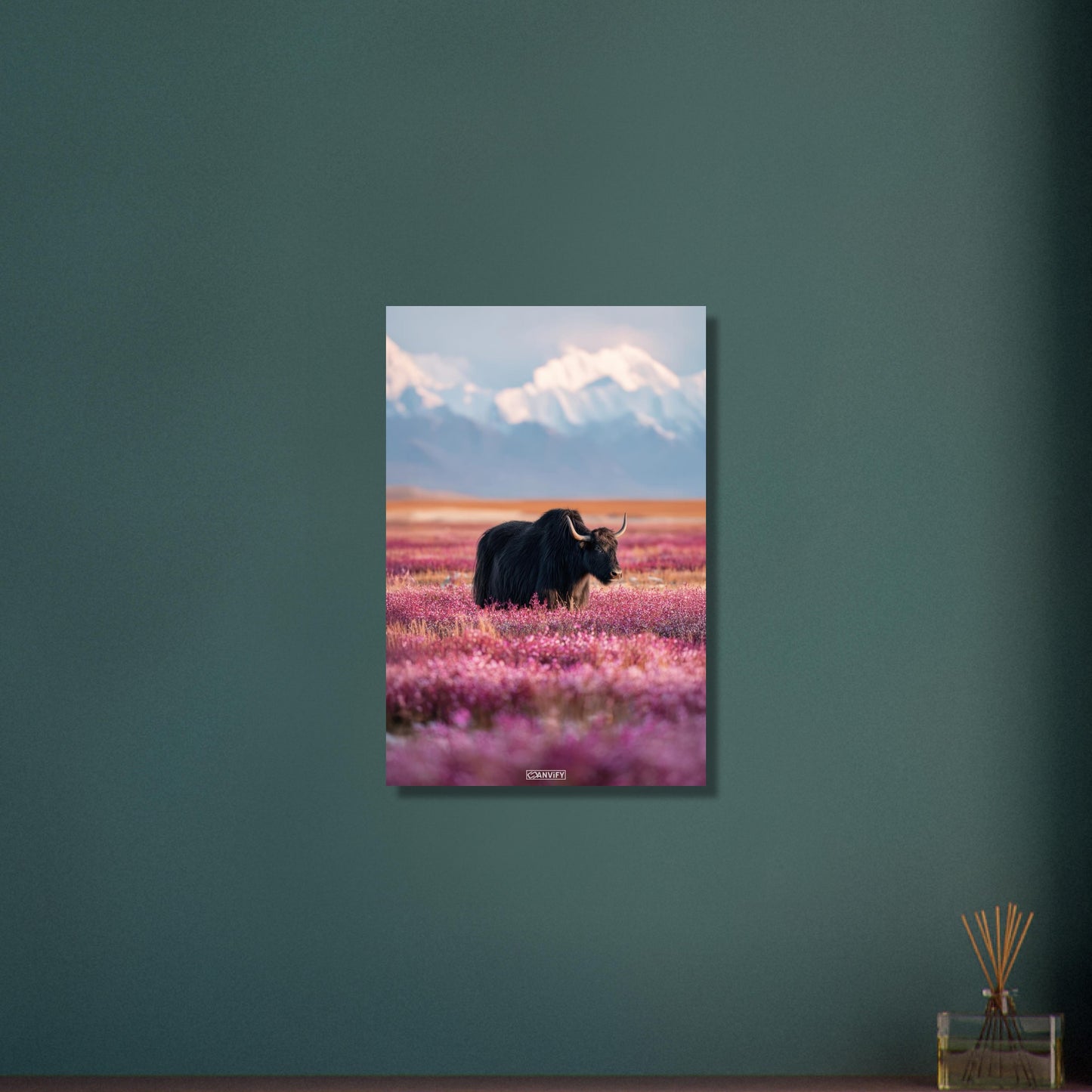 Schwarzer tibetanischer Yak auf einer Blumenwiese mit schneebedeckten Bergen im Hintergrund auf Aluminium