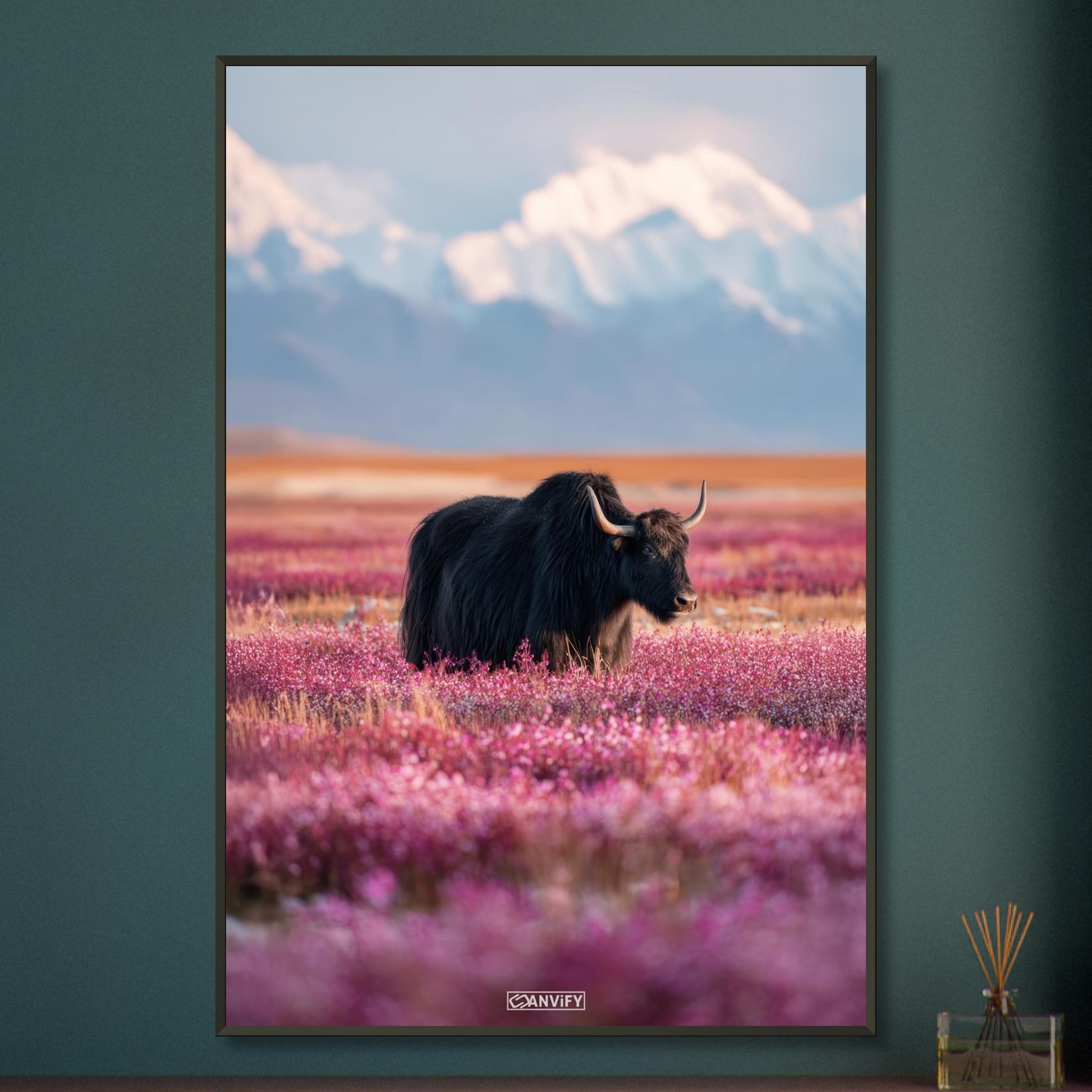 Schwarzer tibetanischer Yak auf einer Blumenwiese mit schneebedeckten Bergen im Hintergrund auf einem Poster im Metallrahmen