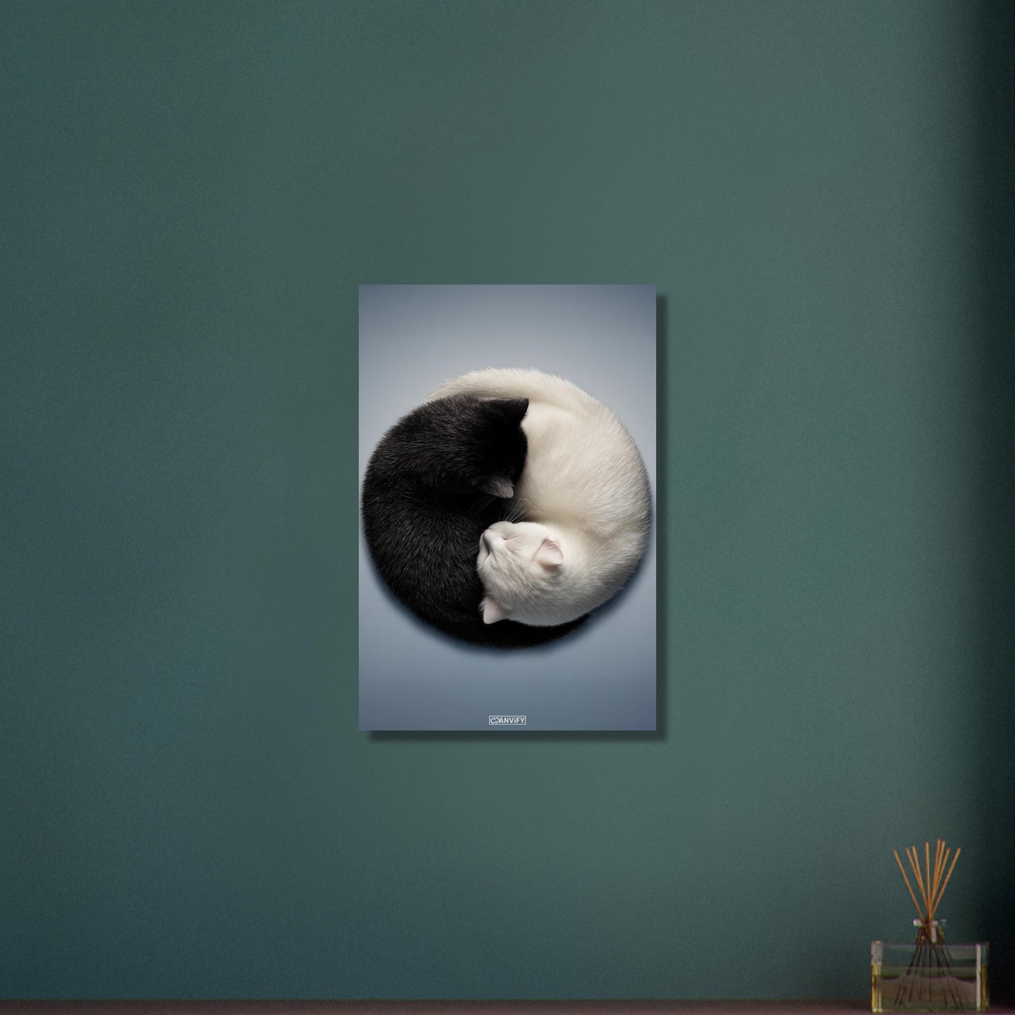 Schwarze und weiße Katze im Yin Yang auf Aluminium