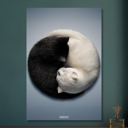 Schwarze und weiße Katze im Yin Yang auf Aluminium